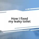 How I fixed my leaky toilet