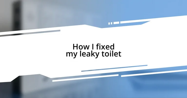 How I fixed my leaky toilet