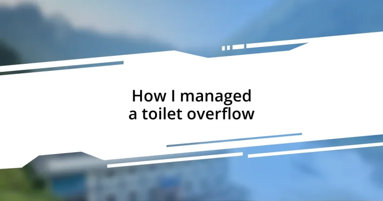 How I managed a toilet overflow