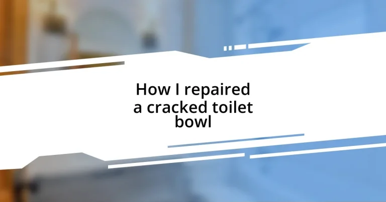 How I repaired a cracked toilet bowl