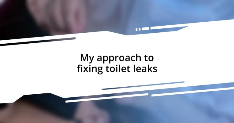 My approach to fixing toilet leaks