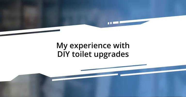 My experience with DIY toilet upgrades