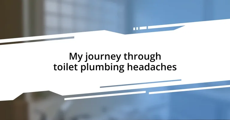 My journey through toilet plumbing headaches