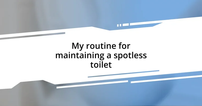 My routine for maintaining a spotless toilet