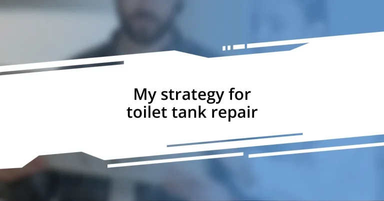 My strategy for toilet tank repair