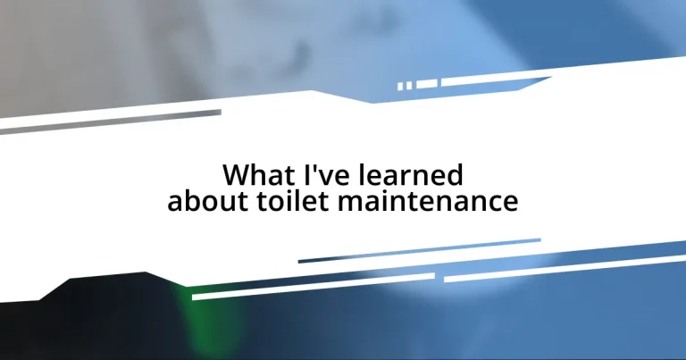 What I’ve learned about toilet maintenance