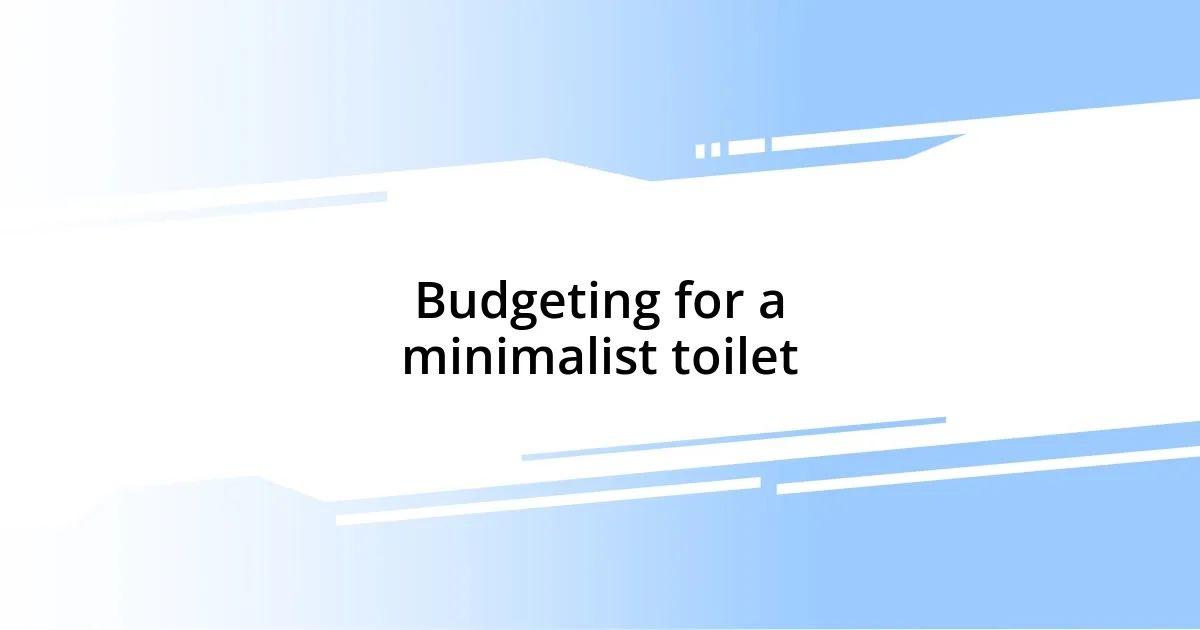 Budgeting for a minimalist toilet