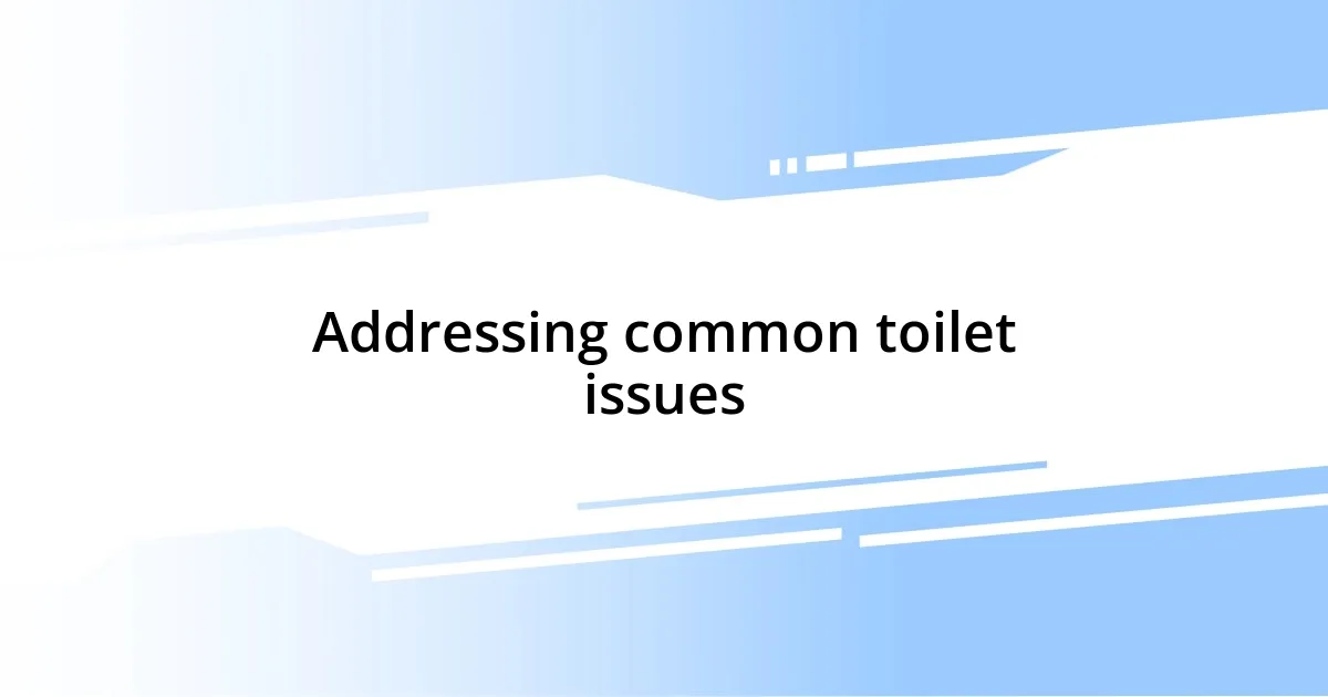 Addressing common toilet issues