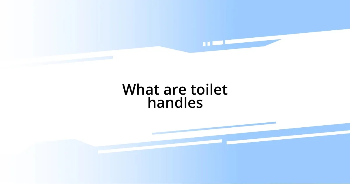 What are toilet handles