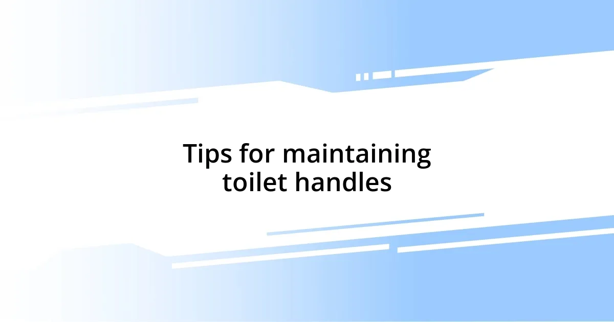 Tips for maintaining toilet handles