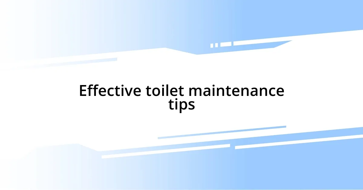 Effective toilet maintenance tips